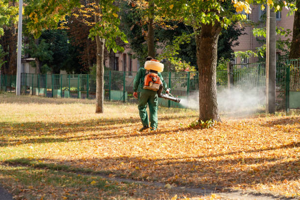 Best Best Pest Control Companies  in Omro, WI